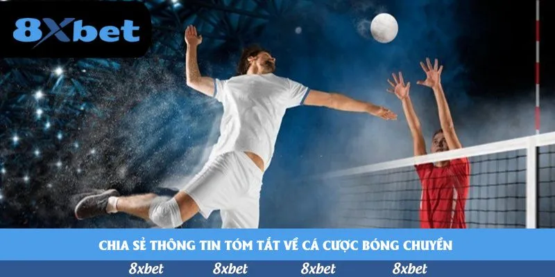 Chia sẻ thông tin tóm tắt về cá cược bóng chuyền 
